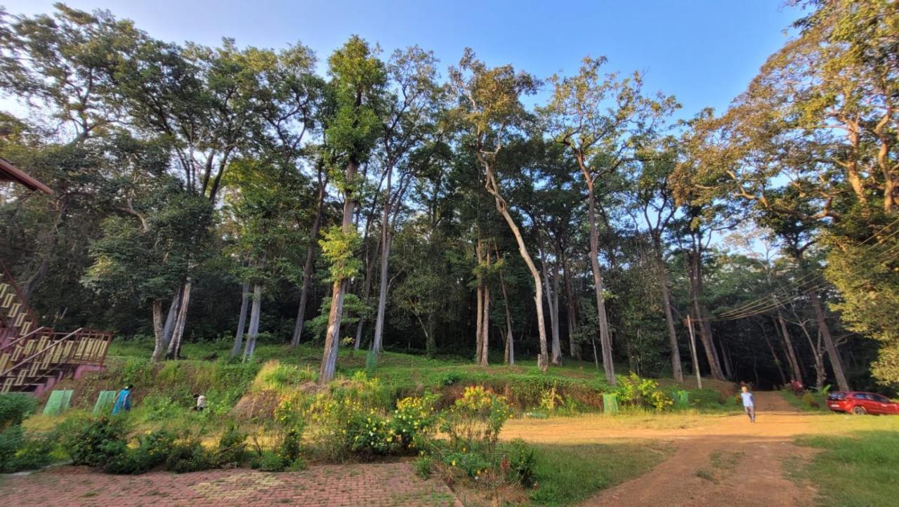 Magod Homestay Idgundi エクステリア 写真
