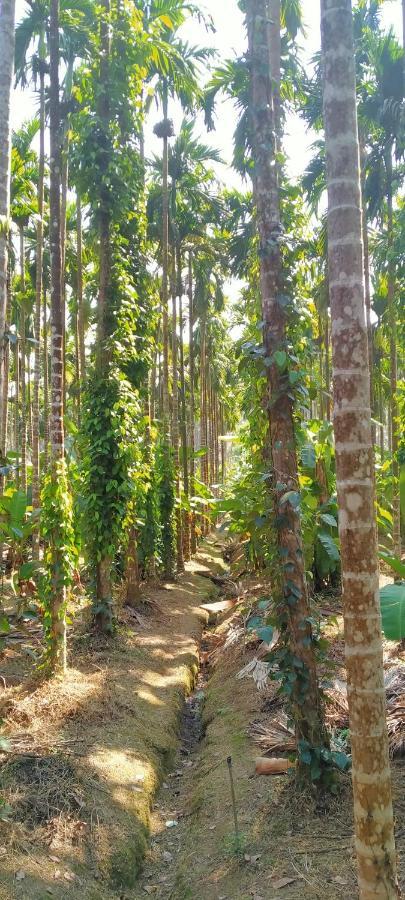 Magod Homestay Idgundi エクステリア 写真